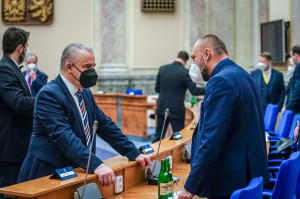 163. PS RHSD ČR, 9. únor 2022