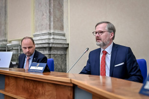 Mimořádné jednání RHSD ČR, 17. března 2022